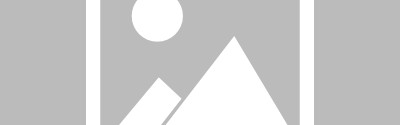 世界杯投注指南- 里尔主场憾平弱旅，主帅赛后直言需提升进攻效率  